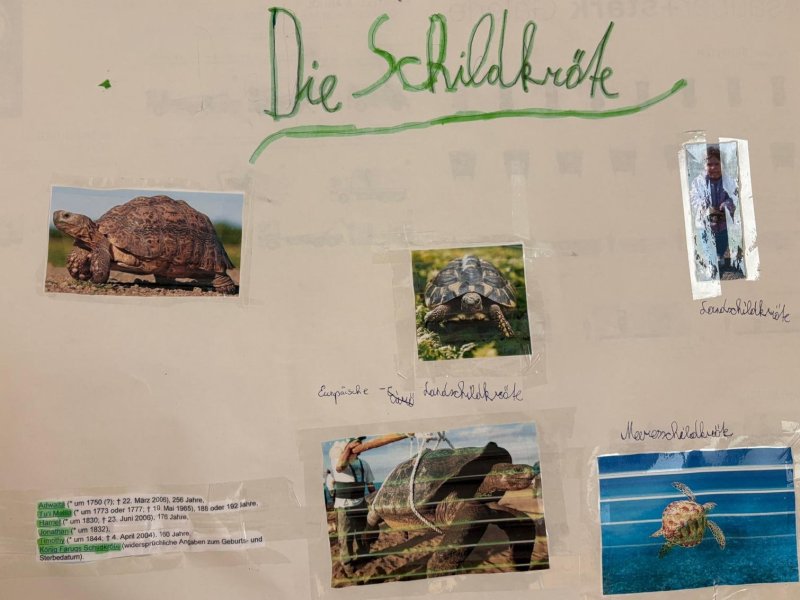 Welttierschutztag
